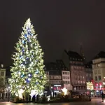 Lägenhet Loft Saint Thomas - Petite France Strasbourg