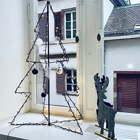 Loft Saint Thomas - Petite France Lägenhet